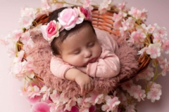 Bebe
