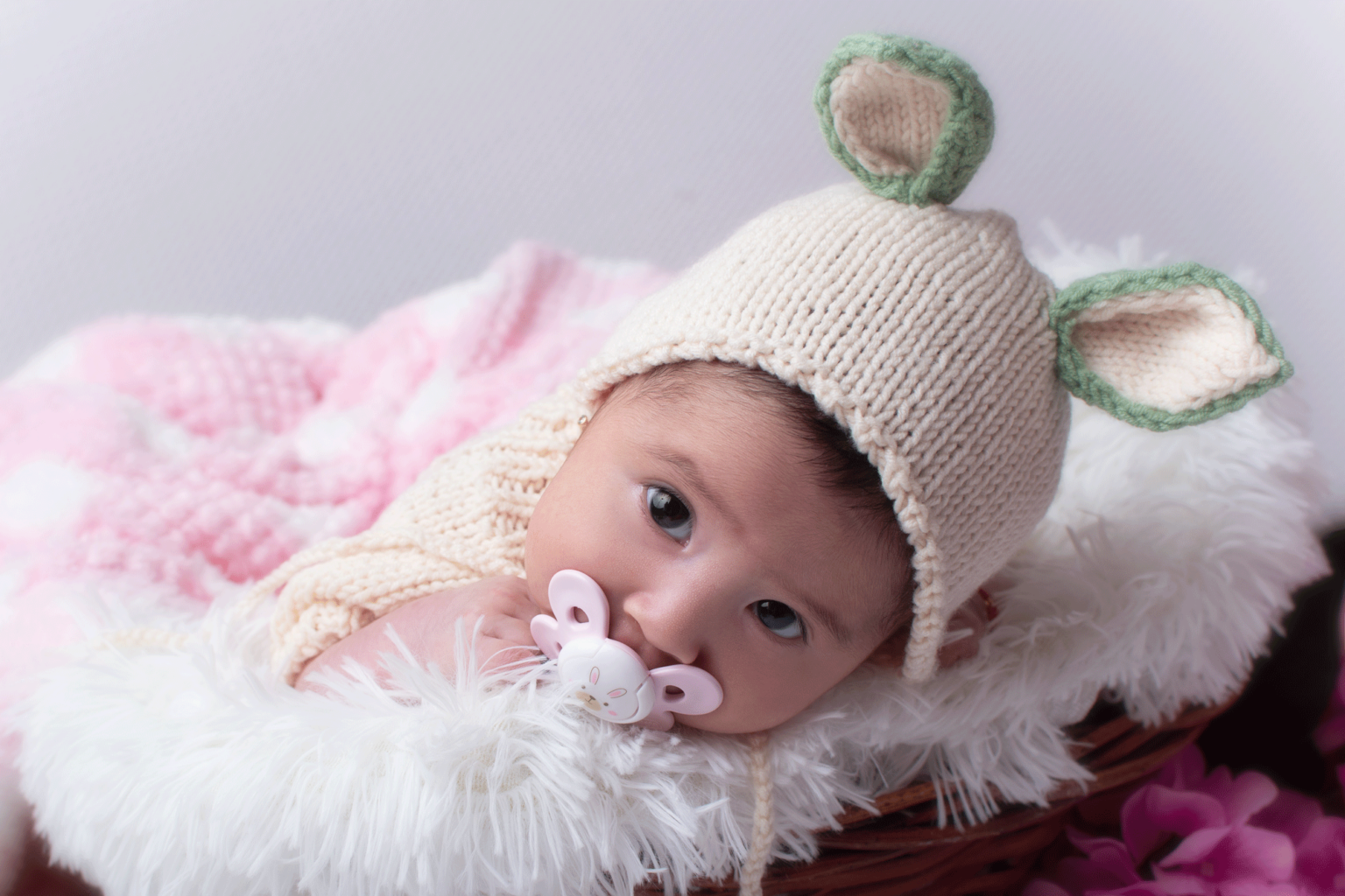 fotografia de Bebe dos meses